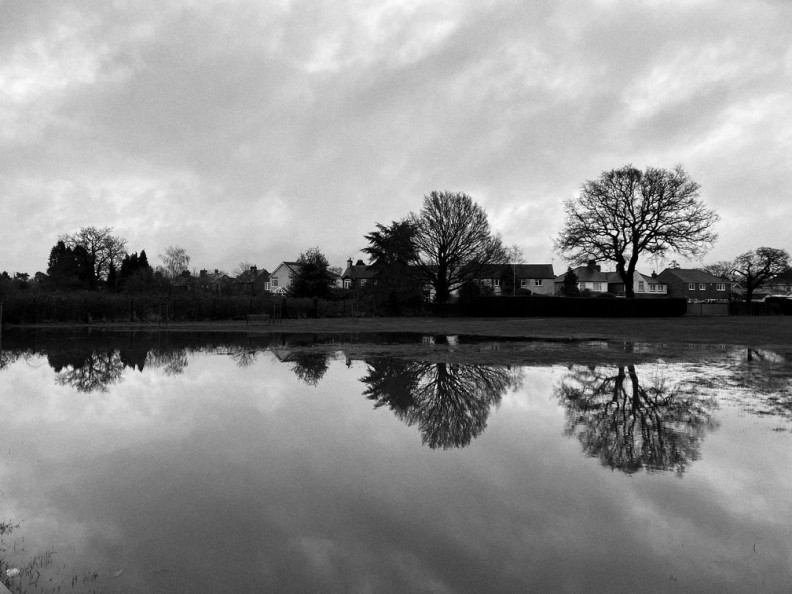 Flooded Field © Andrew Jackson
